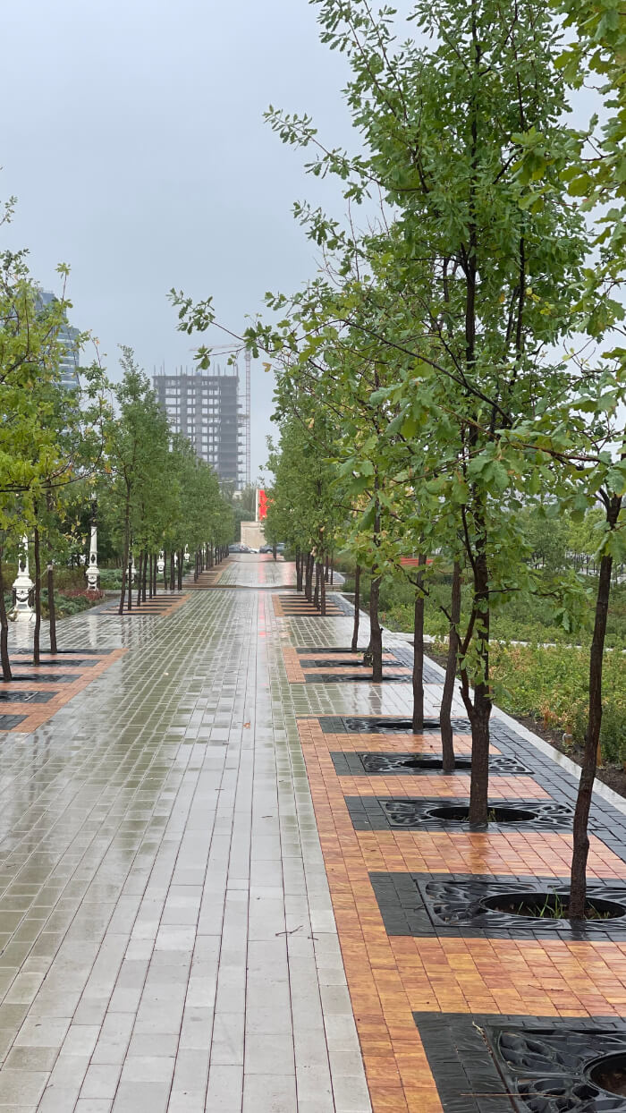 Приствольная решетка для дерева ZKING CRUST 1.2х1.2м Черная в Тихвине фото