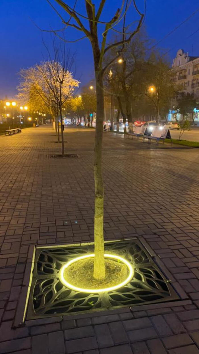 Приствольная решетка для дерева ZKING CRUST 1.2х1.2м Черная в Тихвине фото